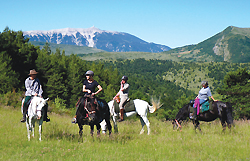 equitation ventoux baronnies